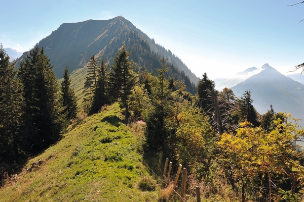 Über den Gitzitritt aufs Buochserhorn