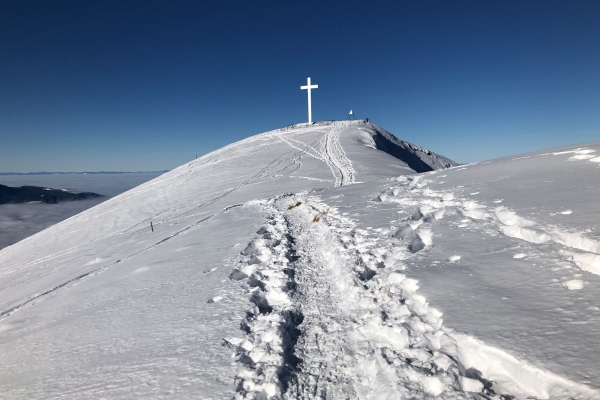 Buochserhorn ab Niederrickenbach