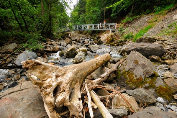 Der Weg durch die Schlucht