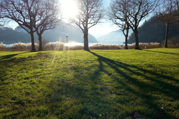 Rund um den Alpnachersee