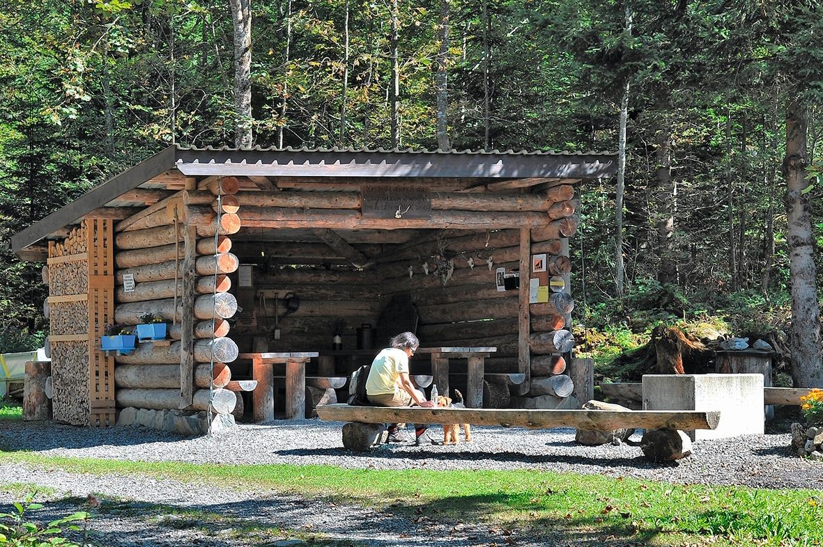 Durch den Brennwald